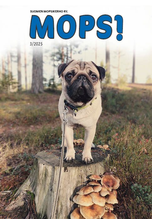 mopsi 3_25 kansi